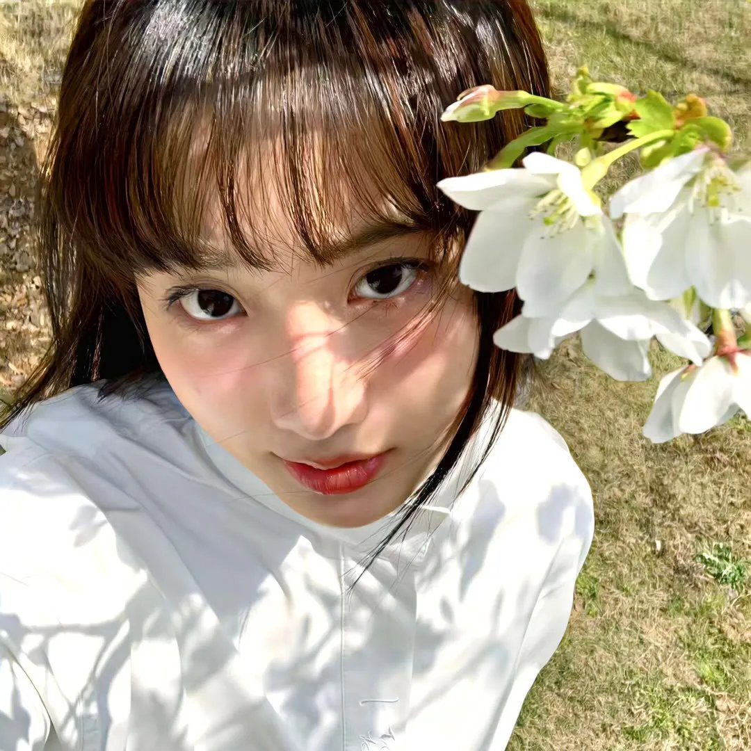 凤舞龙翔